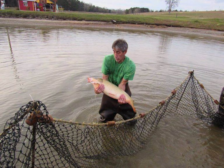 CreekStand Catfish Farm