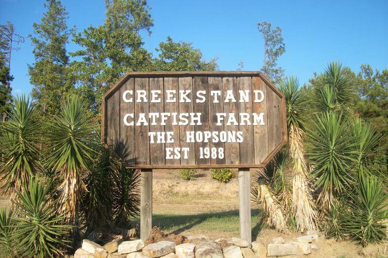 CreekStand Catfish Farm